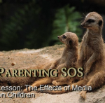 4. Effects of Media