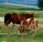 8. Be Proactive